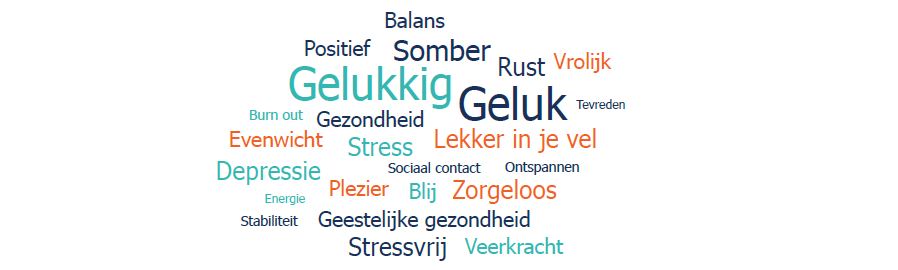 Panelleden geven hun geluksgevoel en mentale gezondheid een ruime voldoende